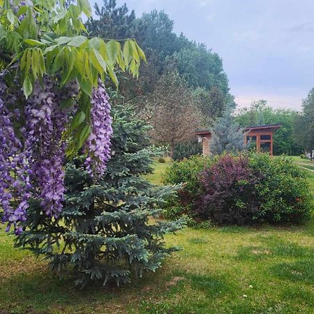 Gyoember Tanya Villa Ásotthalom Екстериор снимка