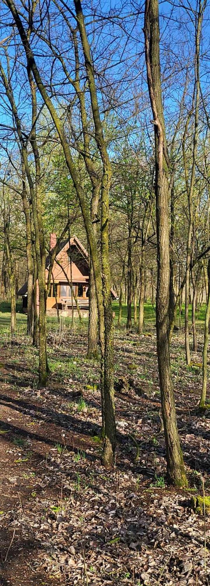 Gyoember Tanya Villa Ásotthalom Екстериор снимка