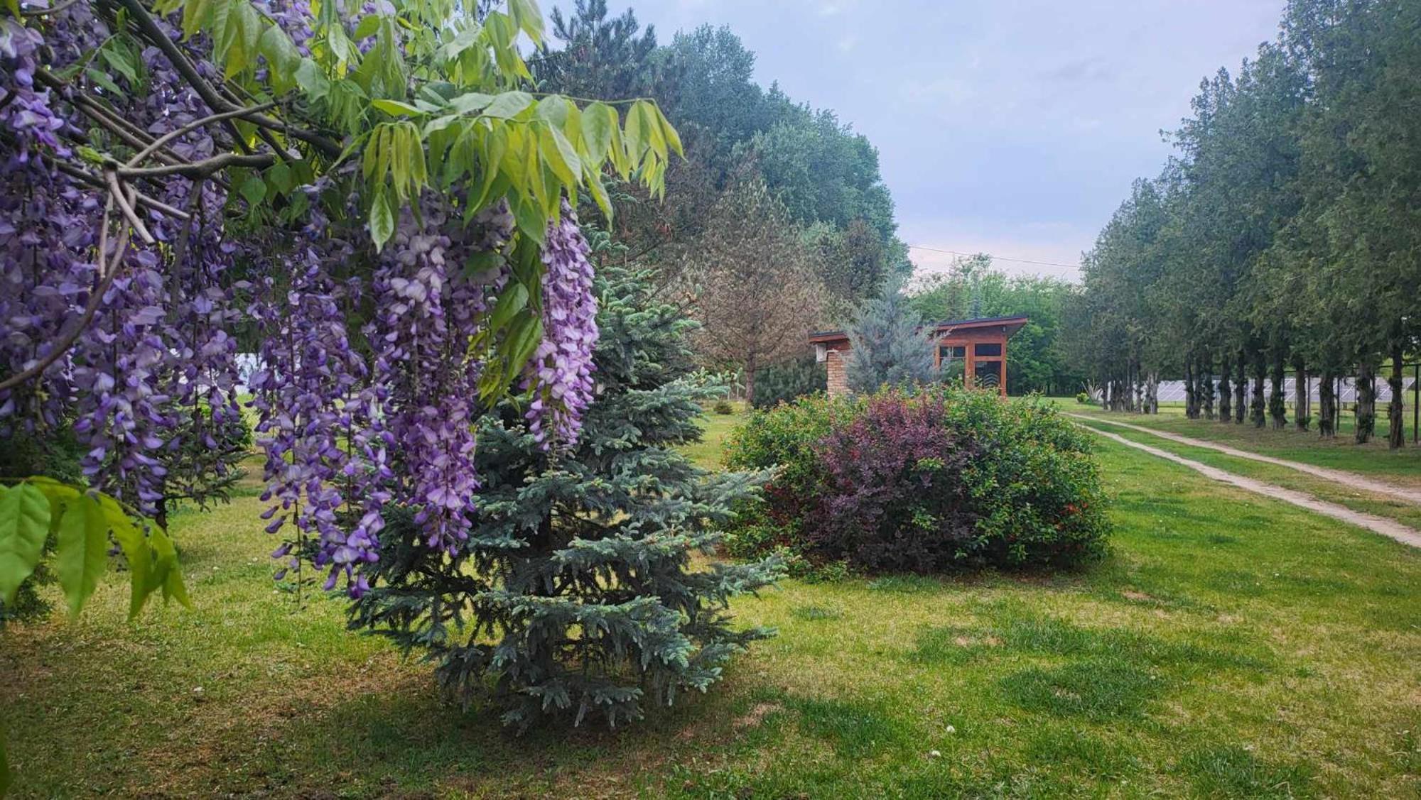 Gyoember Tanya Villa Ásotthalom Екстериор снимка