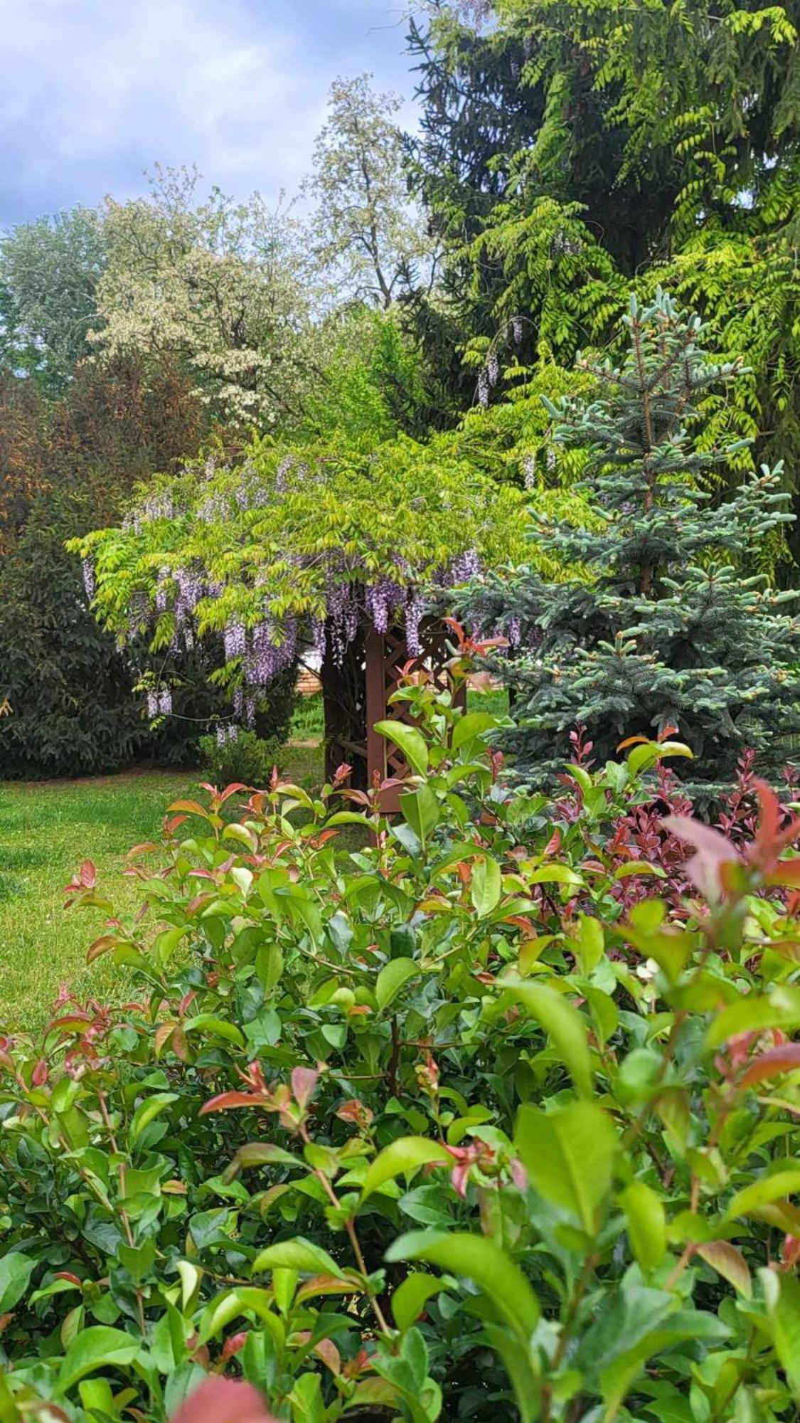 Gyoember Tanya Villa Ásotthalom Екстериор снимка