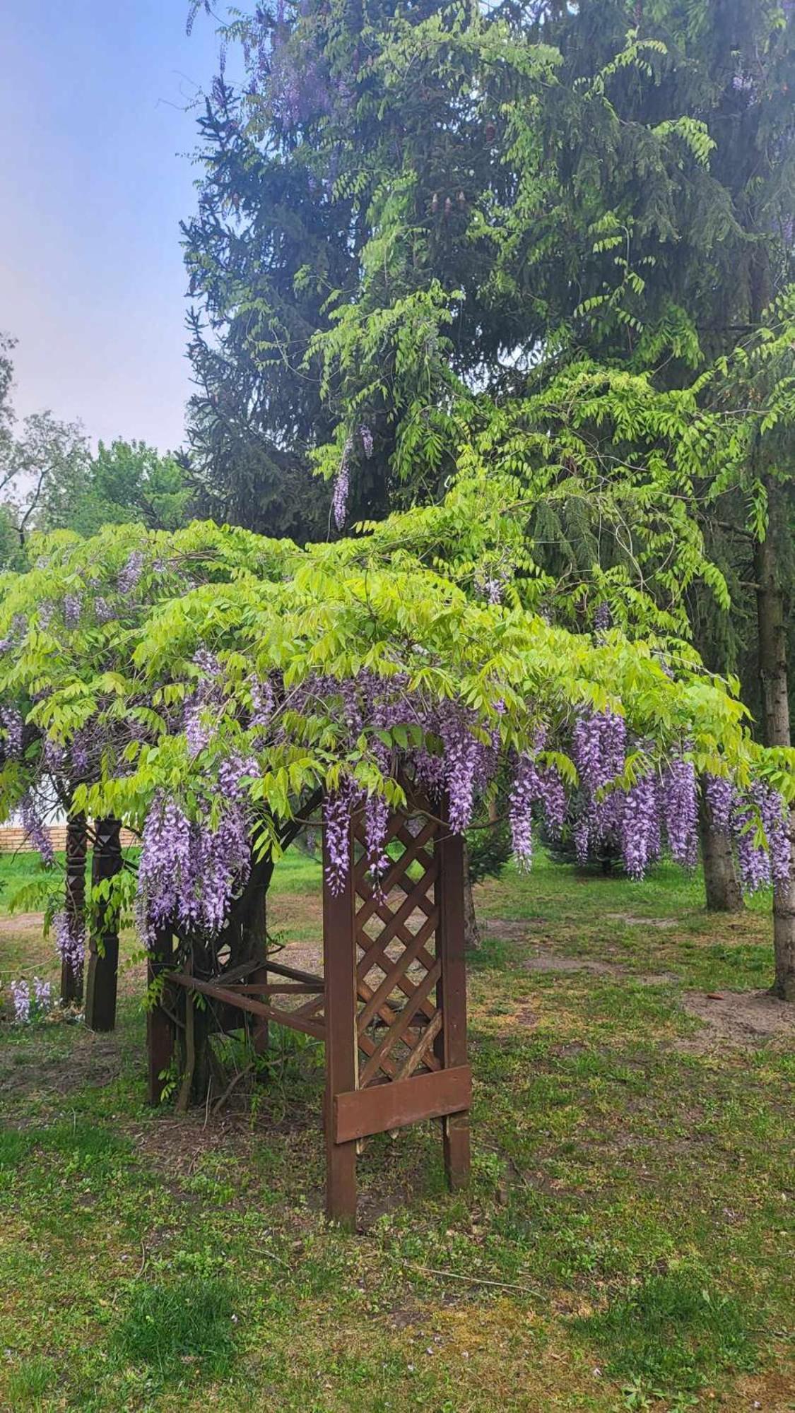 Gyoember Tanya Villa Ásotthalom Екстериор снимка